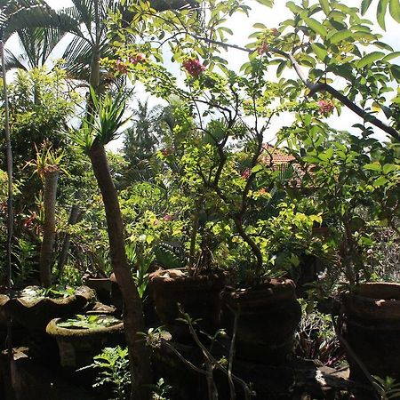 Raditia Homestay ウブド エクステリア 写真