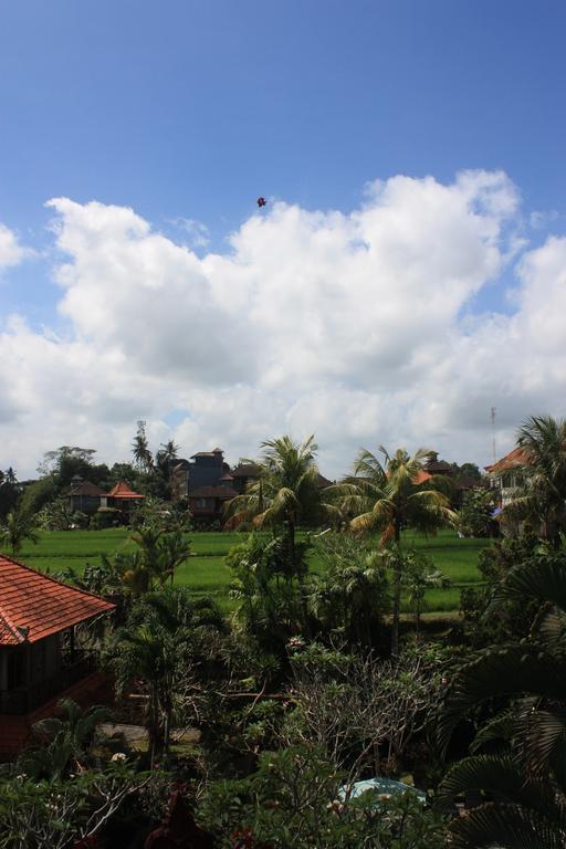 Raditia Homestay ウブド 部屋 写真
